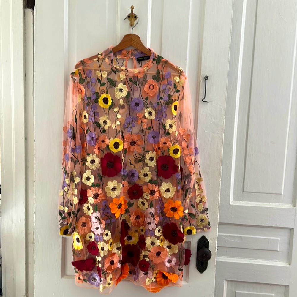 Finesse Flora Mini Dress 1X